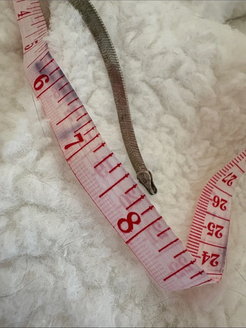 N/A size small